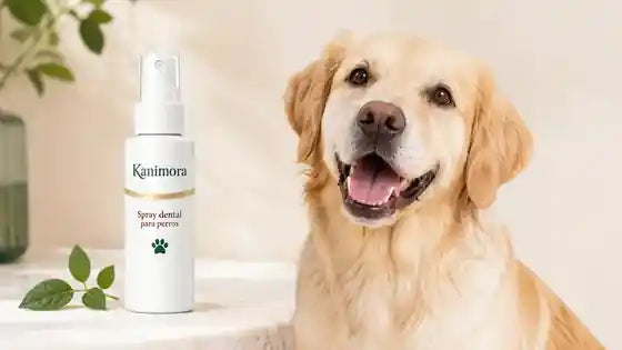 Spray dental Kanimora junto a un perro